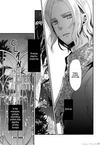 (SPARK5) [Dolce Einsatz (Tomoe Kiko)] NO MORE FUTURE (Hetalia: Axis Powers) [English] [Sugar Parade]