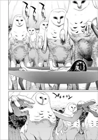 Fukurou no Yubi 丨貓頭鷹之指