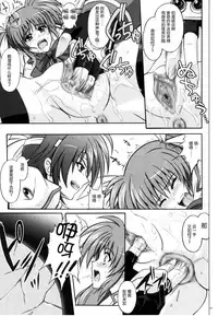 (C77) [Cyclone (Izumi, Reizei)] 767A (Mahou Shoujo Lyrical Nanoha) [Chinese] [脸肿汉化组]