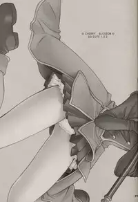 (C64) [Nagisawaya (Nagisawa Yuu)] CHERRY BLOSSOM (Card Captor Sakura)