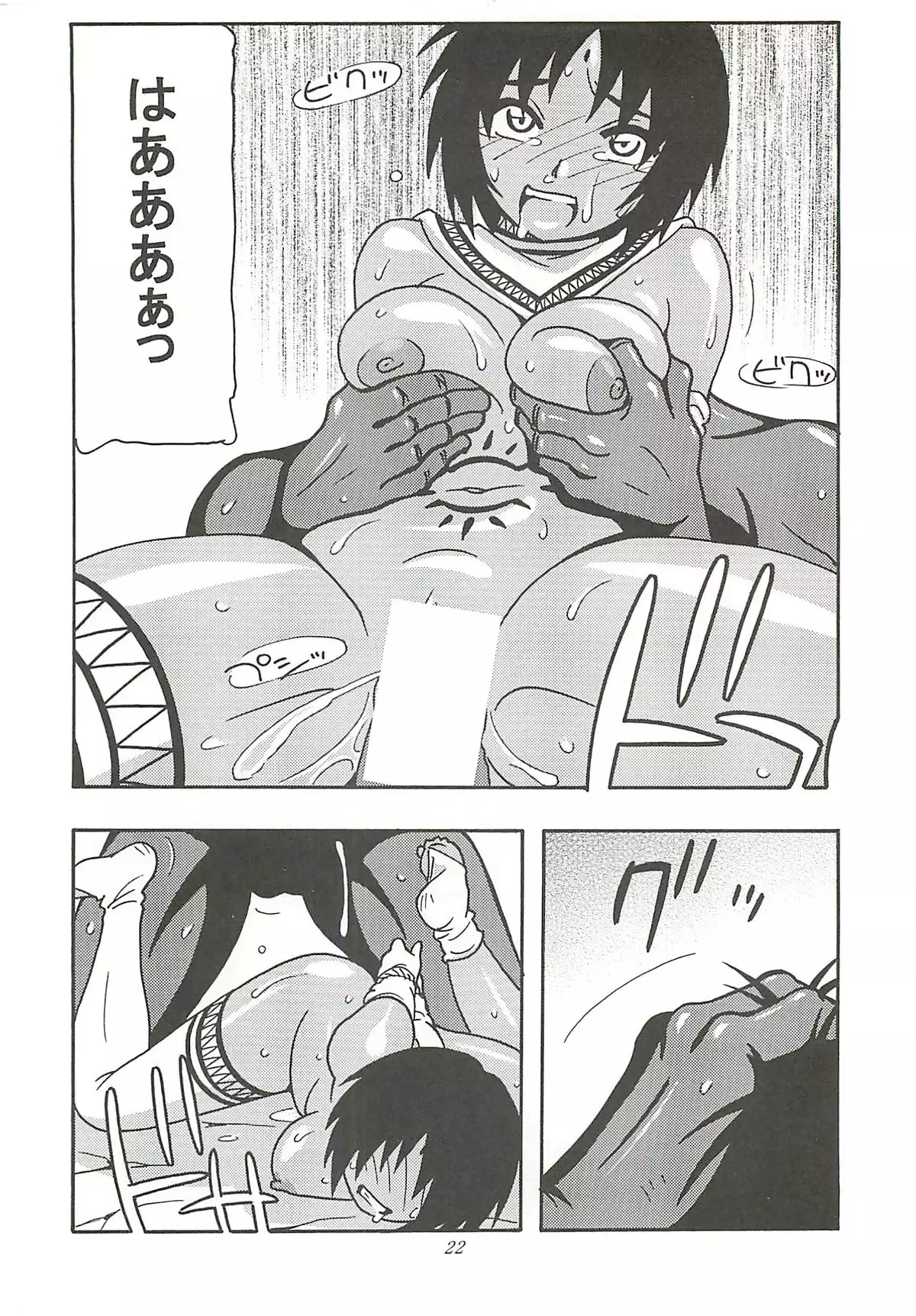 (同人誌)  CELVARG2
