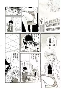 [Kenzaki Mikuri] Shinku no Ihoujin