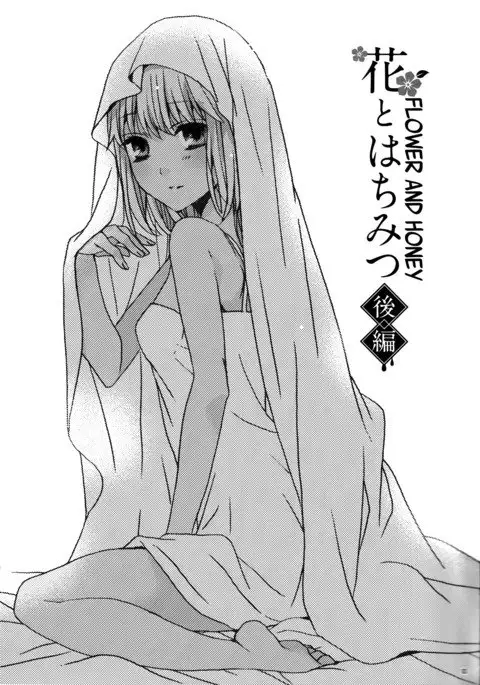 Hana to Hachimitsu Kouhen