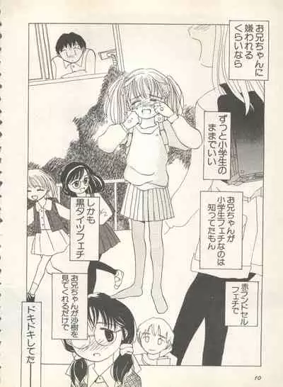 Shin Bishoujo Shoukougun 4 Houou hen