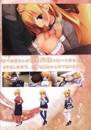 YUZUSOFT 10th Anniversary Book YUZUANI