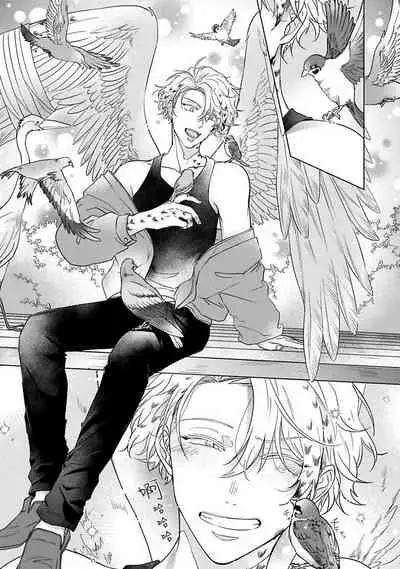 Fukurou no Koiwazurai | 猫头鹰的相思病