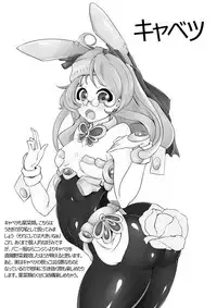 [silk] 直腸野菜栽培解説本 (Kyoukai Senjou no Horizon)