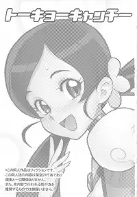 (C78) [Niku Ringo (Kakugari Kyoudai)] Tokyo Catch (Futari wa Precure)