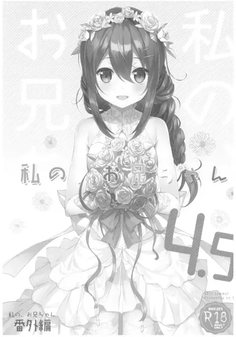 Watashi no, Onii-chan 4.5 Bangaihen