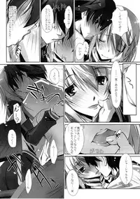 (COMIC1☆5) [RYU-SEKI-DO (Nagare Hyo-go)] LS Lovers Striker II (IS <Infinite Stratos>)