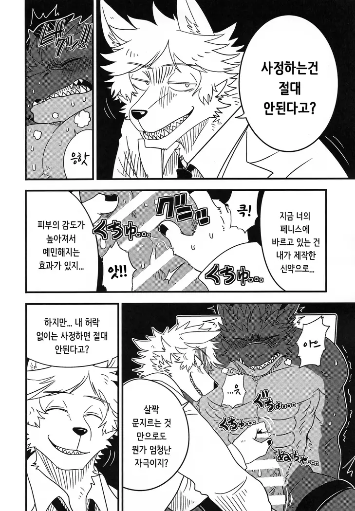 You are My Experimental Dragon | Kimi wa Boku no Jikken Ryu