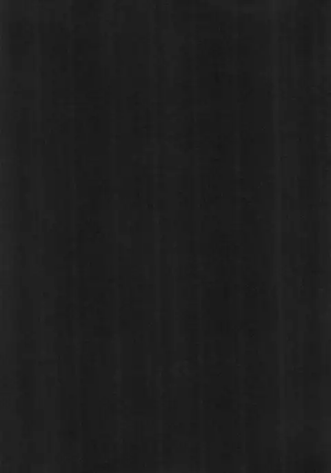 Musen Inshoku Yurushimasen.