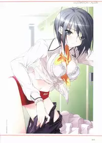 Sakura Sakura Visual Fan Book