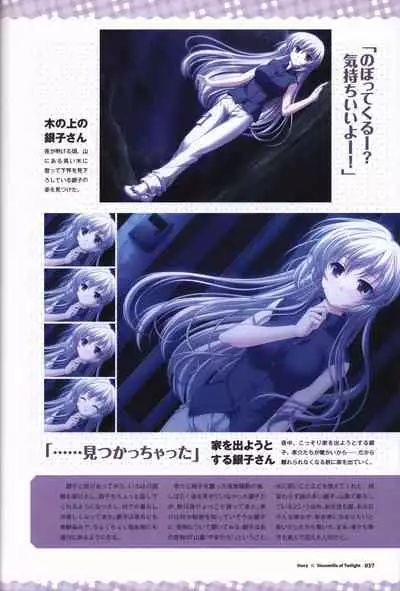 Tasogare no Sinsemilla Official Visual Fan book