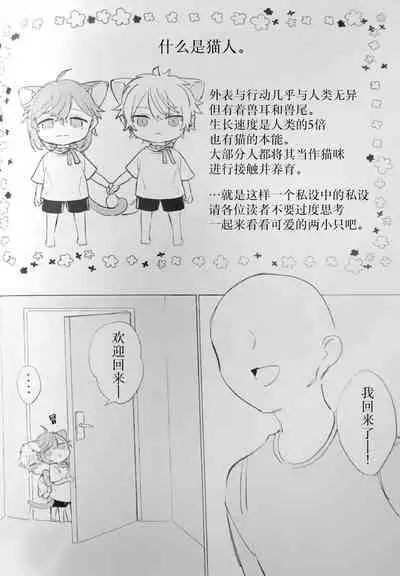 Neko no Iru Seikatsu | 有猫的生活