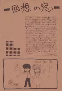 (C38) [Secret Society M (Kitahara Aki)] Anice 3 - Rakuen no Shizuku (Sonic Soldier Borgman)