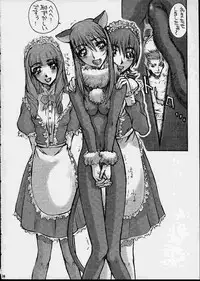 [Fukupukutei] A House Cat (Sakura Taisen)