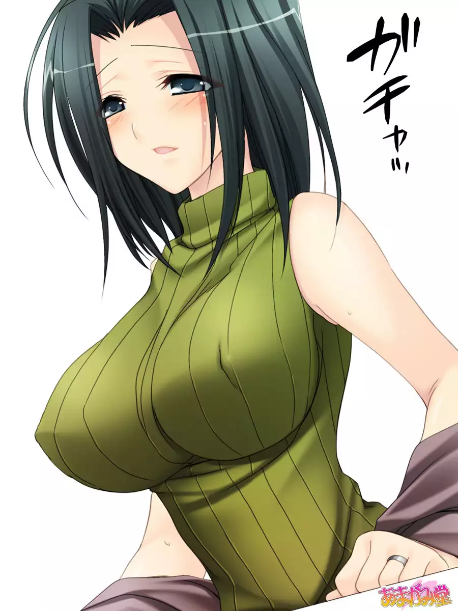 人妻の理沙子さん 第 1~4 話