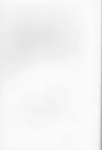 (SuzaLelou Yume Ressha) [Mekkyaku Mayim (Matsumoto)] Chameleon Girl (Code Geass)