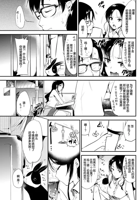 Welcome to the Rabbit-Paradise♡