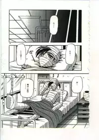 [Appleton] Fairy Paradise