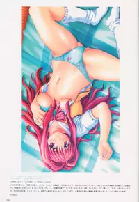 SECRET LOVERS ～MINASHIKA WORKS OFFICIAL EDITION～