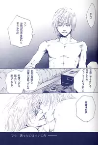 [Devil May Cry] Fragment (VergilxDante)