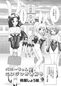 [Messe Sanoh (Various)] FUNNY BUNNY