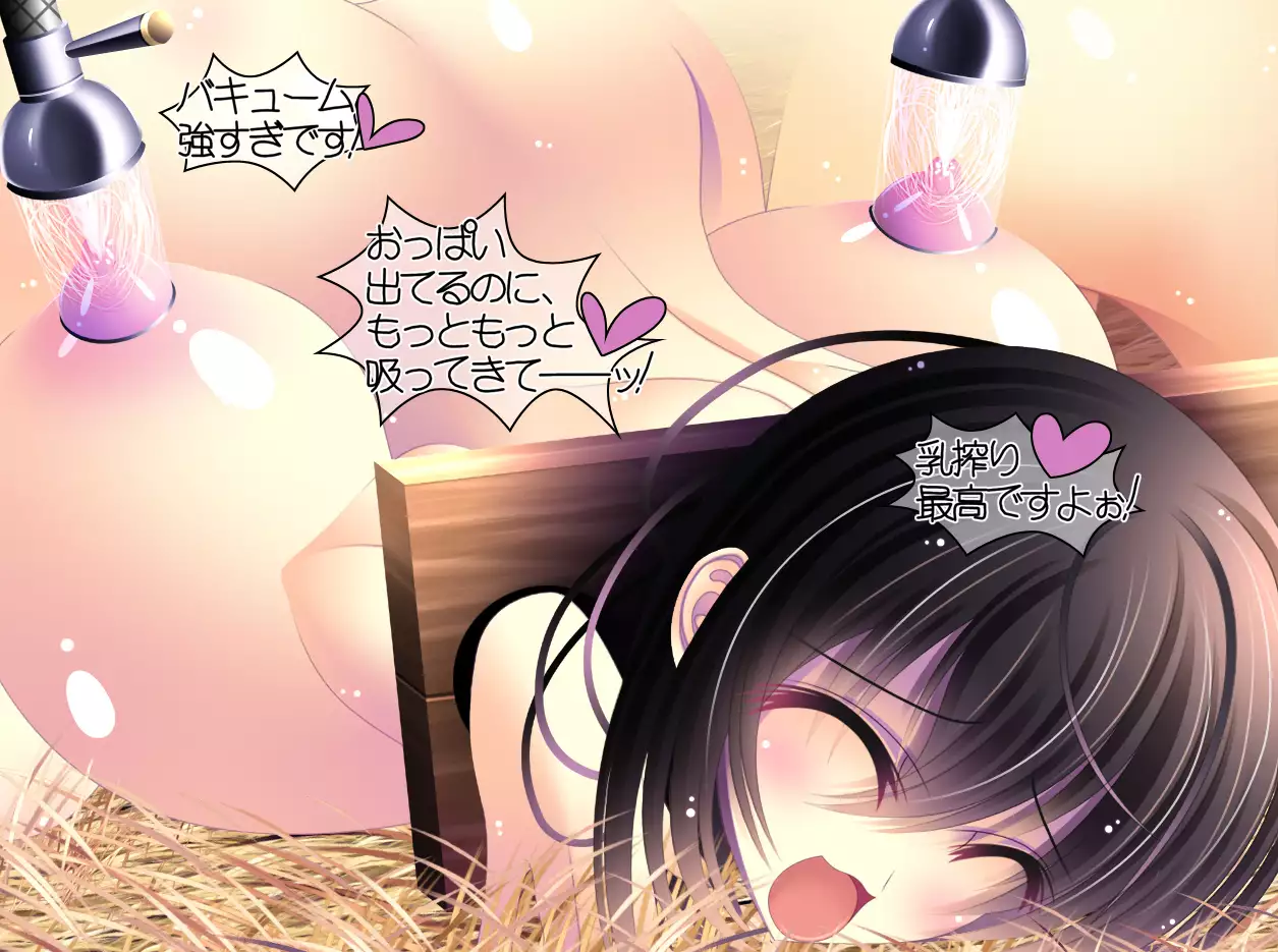 yabure, bakunyu chochichi naedoko ni, benki ni Daraku To sa reru hiroin!~ Hime ○ setsuna ~