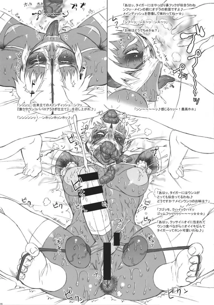 NIPPON TIGER & RABBIT