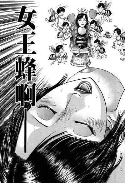 Gendai Bijinzuma Zukan | 現代美人妻圖鑑