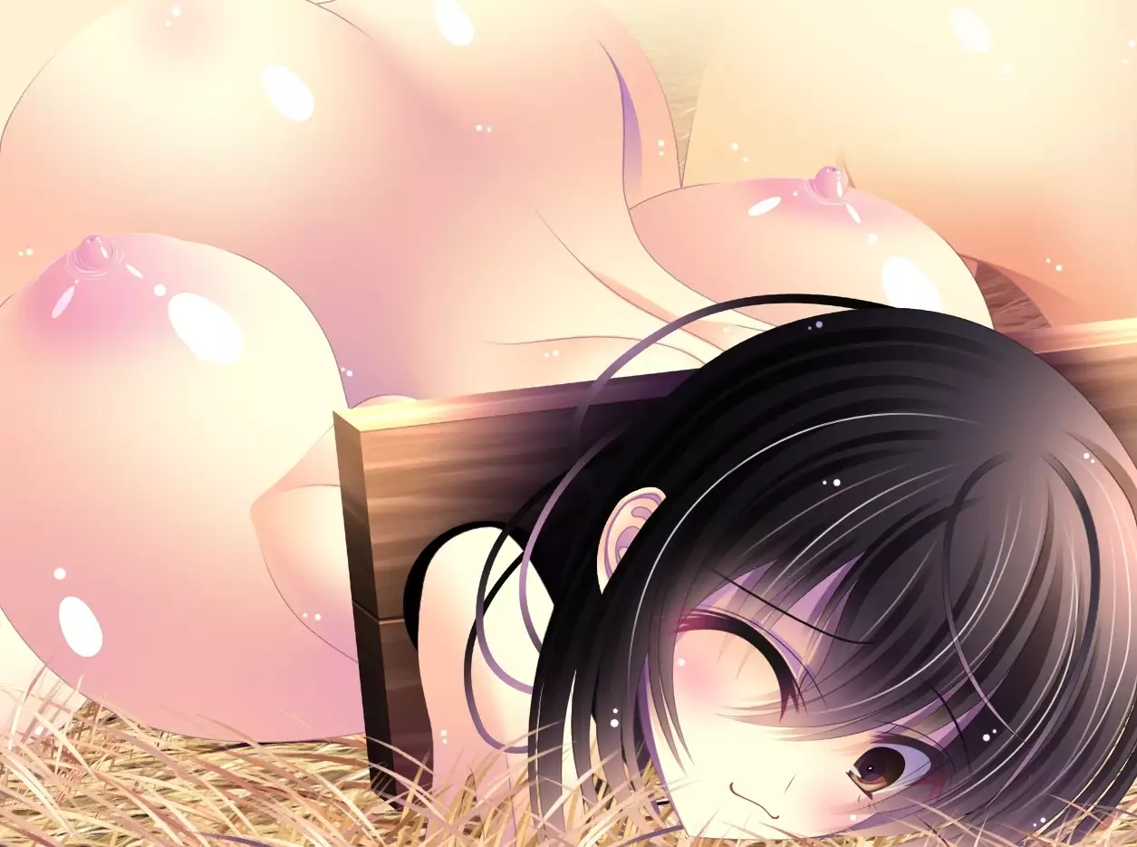 yabure, bakunyu chochichi naedoko ni, benki ni Daraku To sa reru hiroin!~ Hime ○ setsuna ~