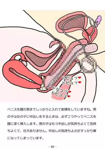 Shishunki no Otokonoko no Tame no Seikyouiku Doukyuusei no Onnanoko to Sex o Shite Aka-chan o Tsukuru Ohanashi