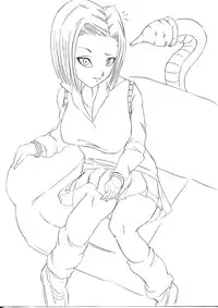 [Miracle Ponchi Matsuri] DRAGON ROAD 555 (Dragon Ball)