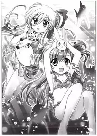 (C88) [Marchen Box (OKINA, ZAN, Shiran Takashi)] Nano-para 14 (Mahou Shoujo Lyrical Nanoha)