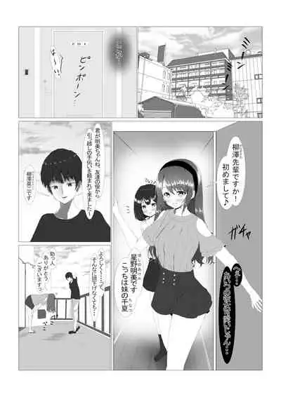 可愛い姉妹を睡眠レイ〇で寝取り計画