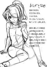 [ノエルヴ] 稲妻入れ2