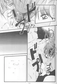 (C60) [Alice Syndrome] 12 Princess of Sisters (Sister Princess)