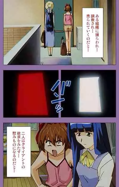 Shimai-ijiri kanzenhan