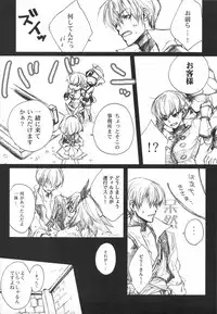 (C75) [Akai Tsubasa] LOVE FOOL.10 (Fantasy Earth Zero)