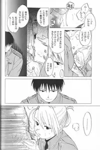 (C65) [Toko-ya (HEIZO, Kitoen)] Taisatyui (Fullmetal Alchemist)