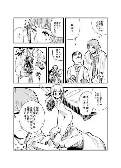 [Wataginu Tektite (Tsuru)] FERNANDES PIXY SHOP [Digital]