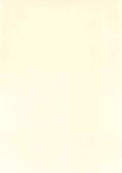 Angel's stroke 152 Secoris Recoil Nettaiya Chara Otoko no Nama Sounyuu Kairaku Gekiatsu Zecchou!!