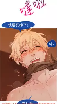 [Studio Gale] Lady Garden 淑女花苑 第一季 [Chinese]