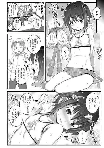 Soutaisei Virgin Theory