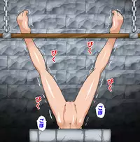 [Shippo Banchou] Mahou Shoujo Nano IV - Rekka and Raikou - (Mahou Shoujo Lyrical Nanoha)