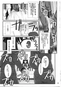 (C79) [H.B (B-RIVER)] Red Degeneration -DAY/5- (Fate/stay night)