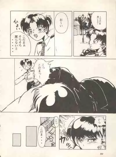 Shin Bishoujo Shoukougun 4 Houou hen