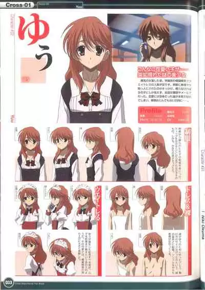 Cross Days Visual Fan Book