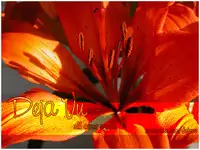 (C69) [Ai no Terrorism (Toda Youchika, Yuiga Naoha)] MISSION A-C (Final Fantasy VII) [English] [DejaVu]